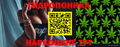 бошки Лесосибирск