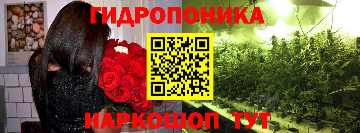Бошки марихуана OG Kush Бузулук